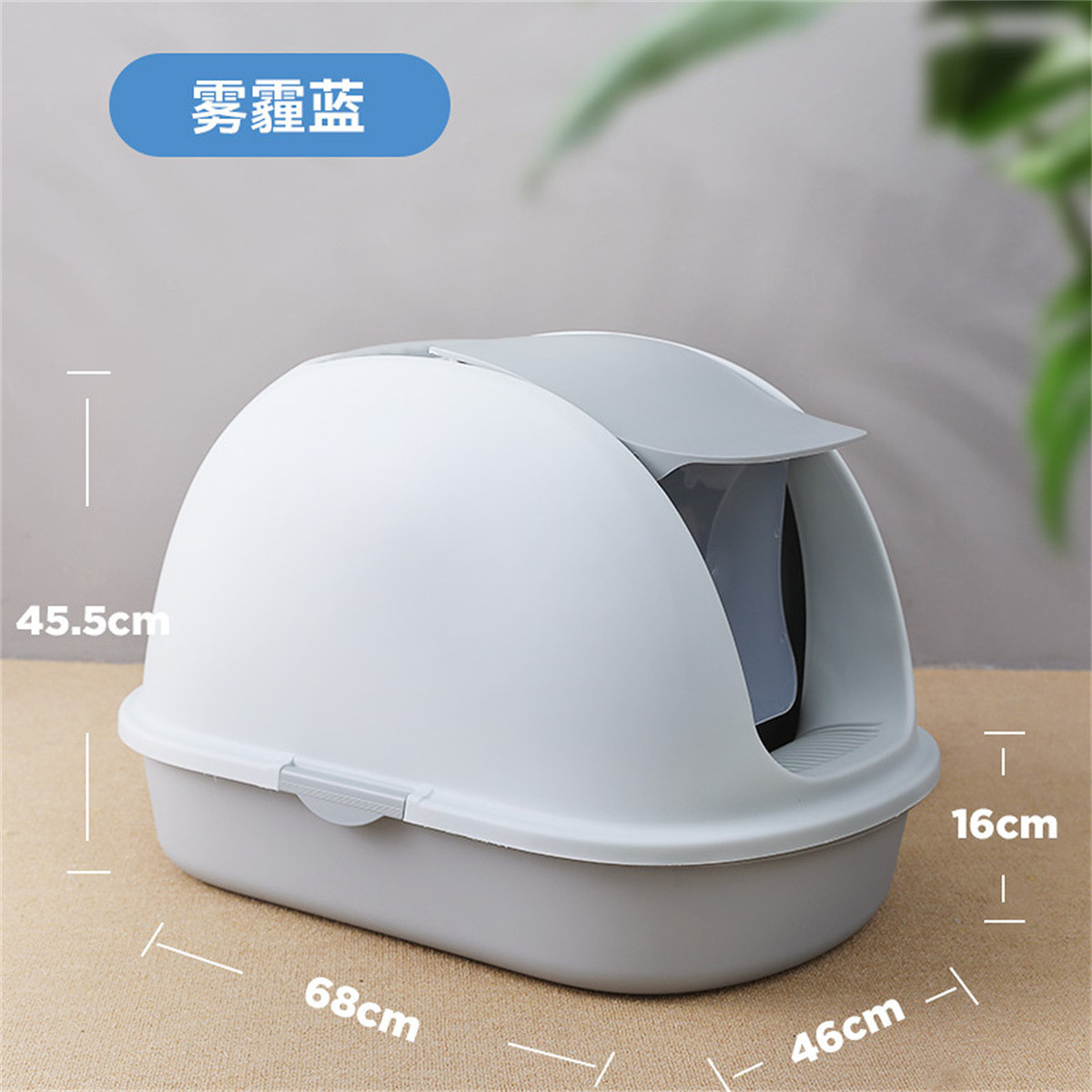 超大号猫咪用品