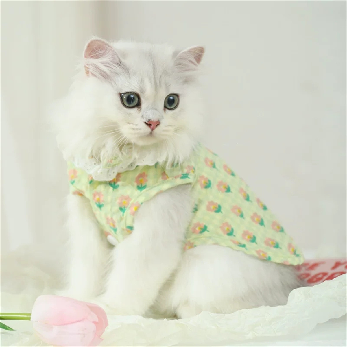 HOOPET 夏季薄款防掉毛夏天小猫蓝猫宠物猫猫可爱幼猫的夏天背心猫咪衣服