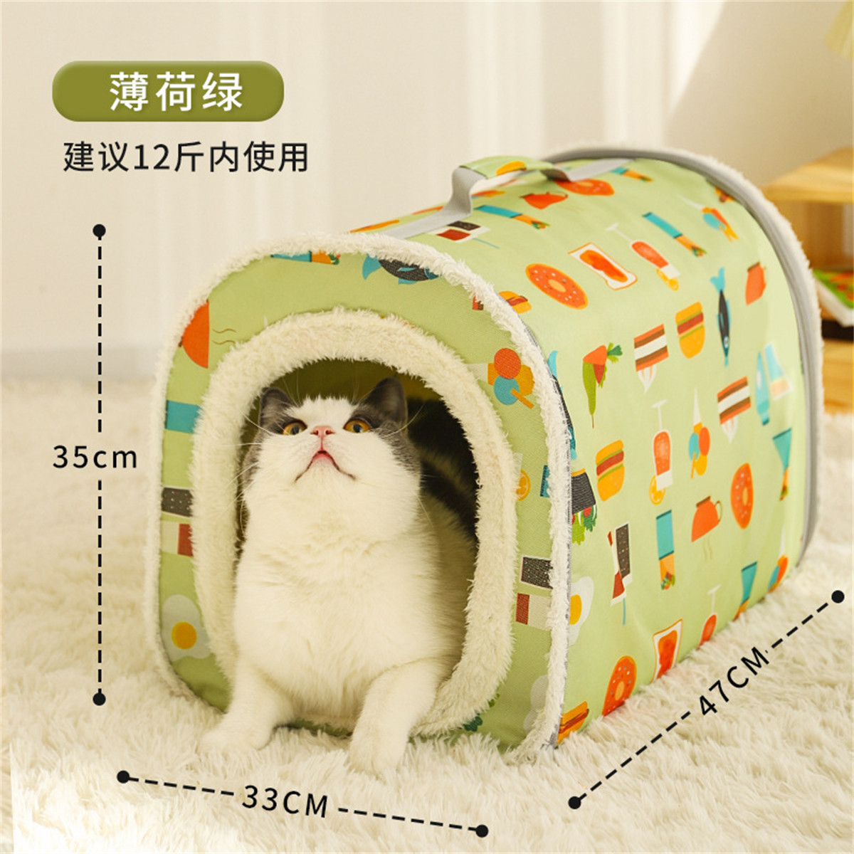 封闭式流浪猫屋