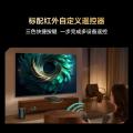 TCL 雷鸟32寸43寸液晶智能电视 雷鸟雀4 2025款 图片 3