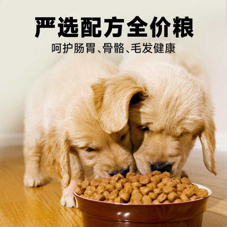 商品缩略图 5