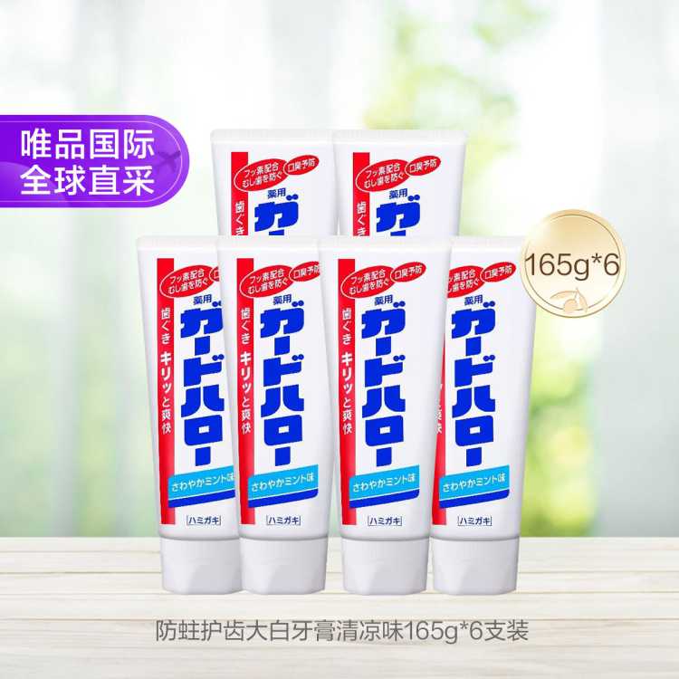 花王 防蛀护齿大白牙膏清凉味 165g*6支装
