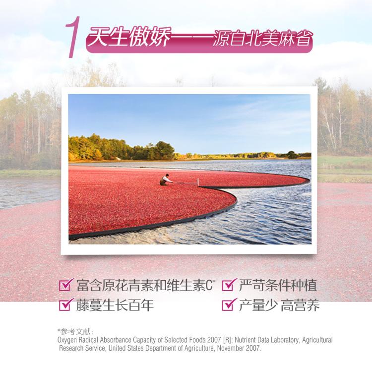 斯维诗 高浓度萃取蔓越莓精华胶囊30粒*3原花青素内在呵护私密健康