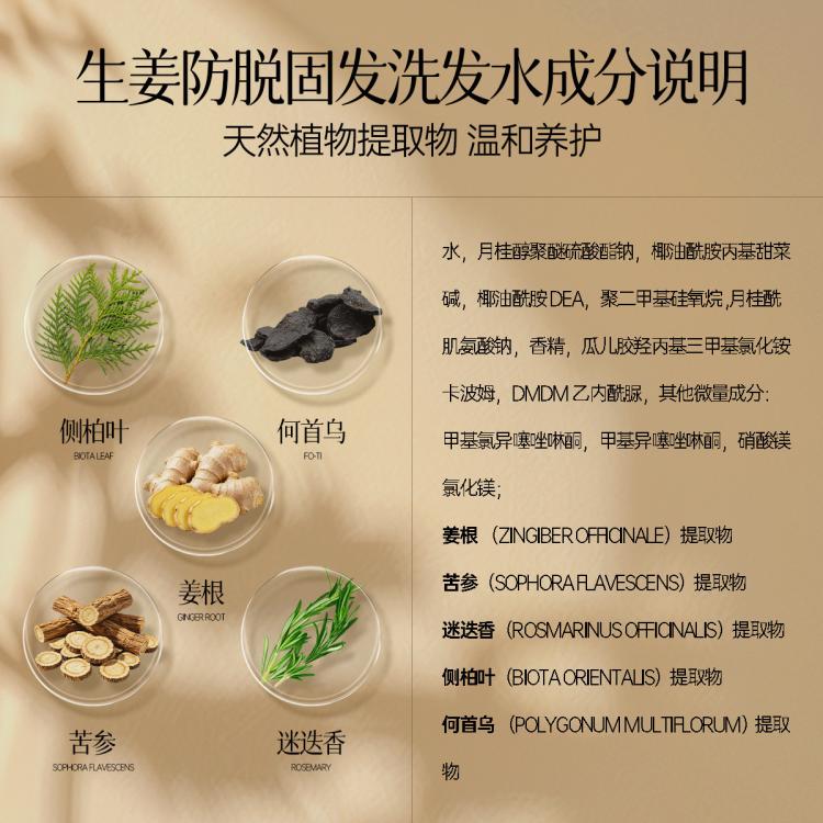 YE RENTANG 进口生姜洗发水防掉发防脱育发控油蓬松去屑止痒洗头膏洗发露女士