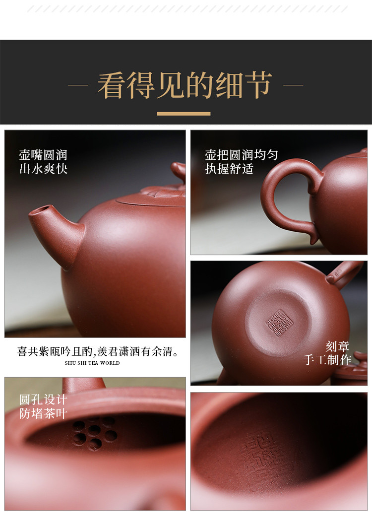 工艺师胡恋300cc中槽清柿圆紫砂壶宜兴紫砂壶功夫茶具泡茶壶
