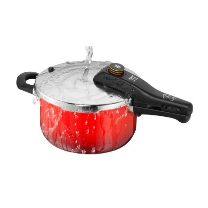 德国wmf福腾宝 原装进口奈彩米一键拆卸手柄天然家用高压锅6.5升