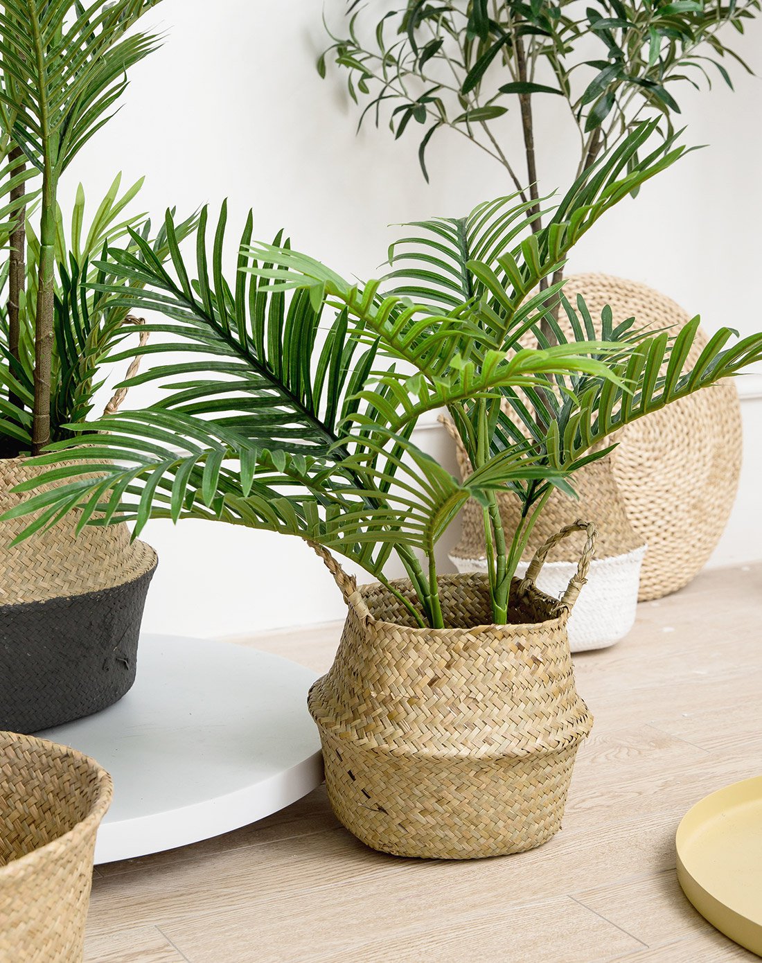 北欧感搭配绿植物2尺散尾葵海草编织收纳筐水洗牛皮花盆拼双色壶形