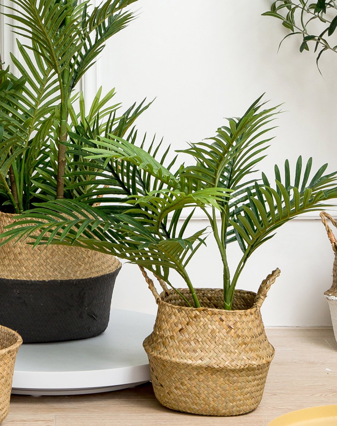 北欧感搭配绿植物2尺散尾葵海草编织收纳筐水洗牛皮花盆拼双色壶形