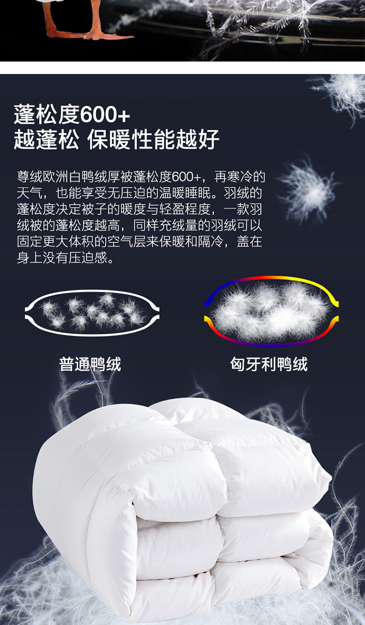 【防钻绒】90%白鸭绒蓬松透气保暖鸭绒被羽绒被被芯被子