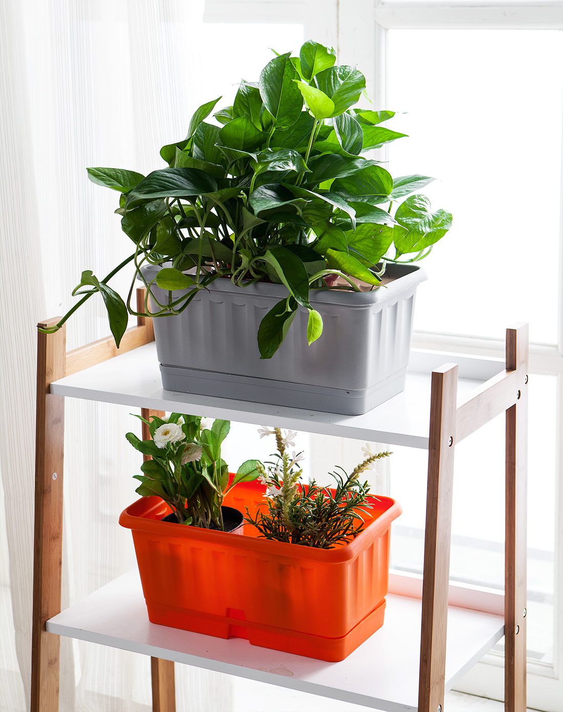 jm家饰美装用品专场带沥水托盘阳台户外园艺花盆jm-6827_唯品会