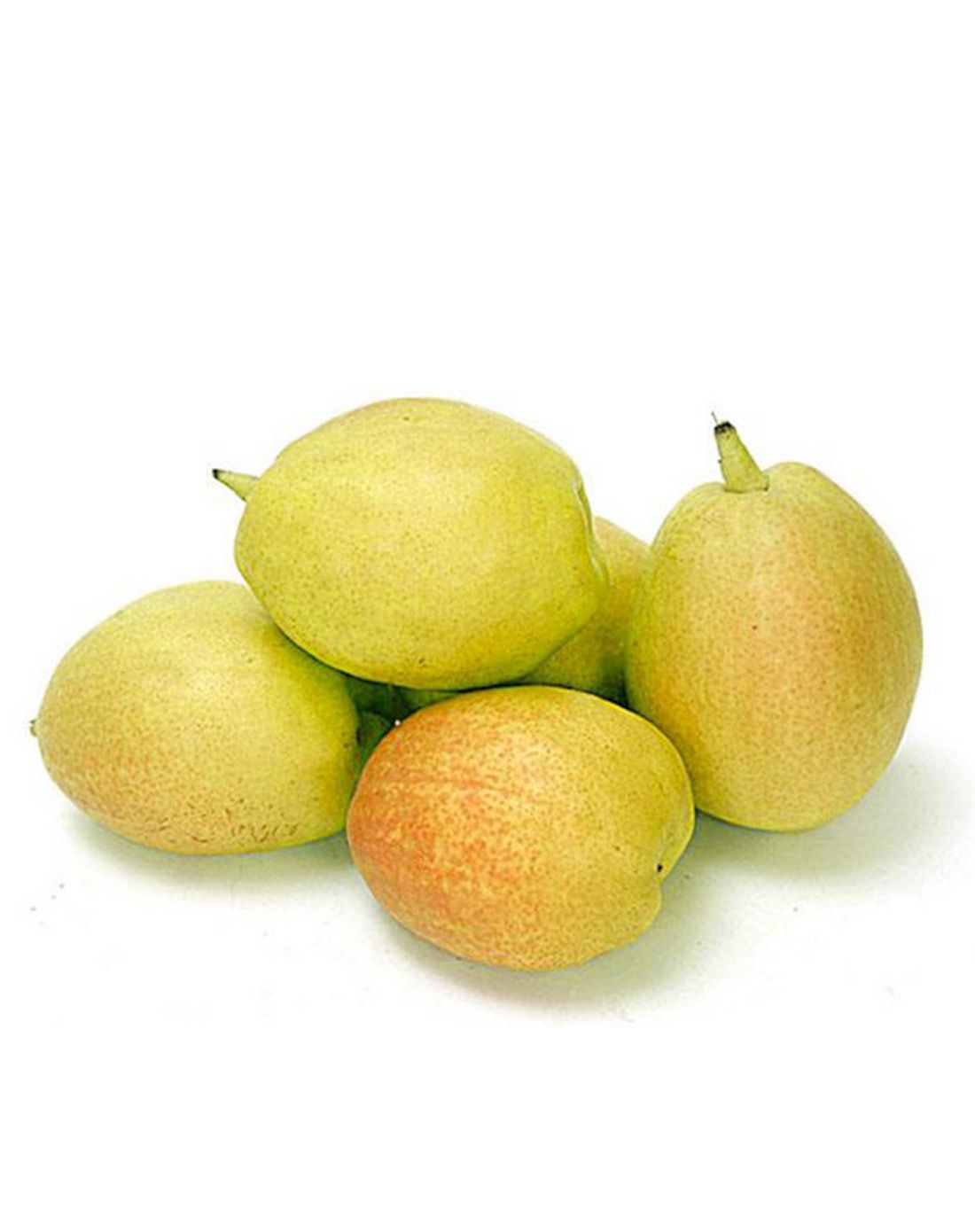 库尔勒香梨(当季新果)4斤装