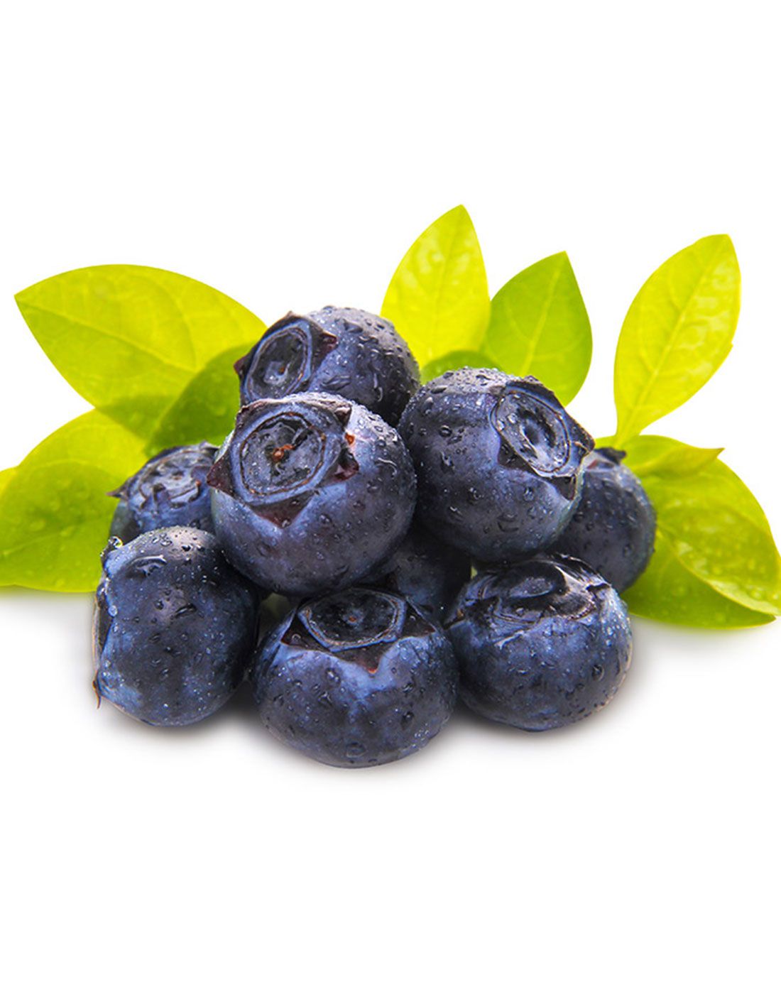 智利进口蓝莓6盒装 125g/盒