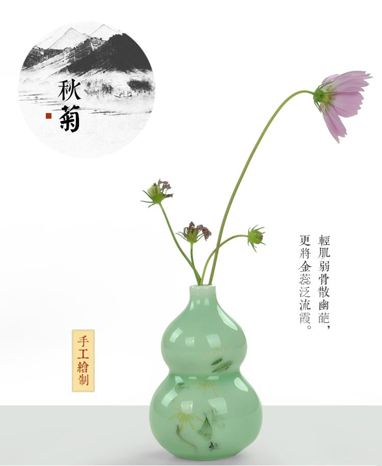 葫芦瓶菊花花插