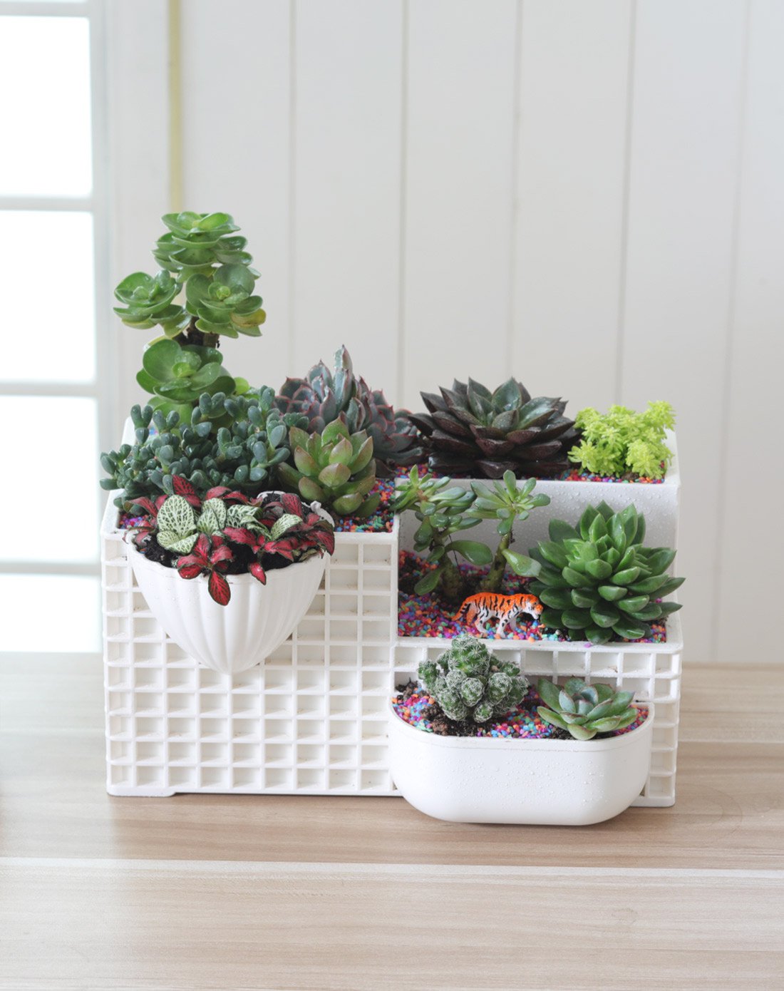 创意设计,多格多层多肉花盆
