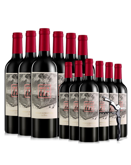 伯爵城堡干红葡萄酒12支装2