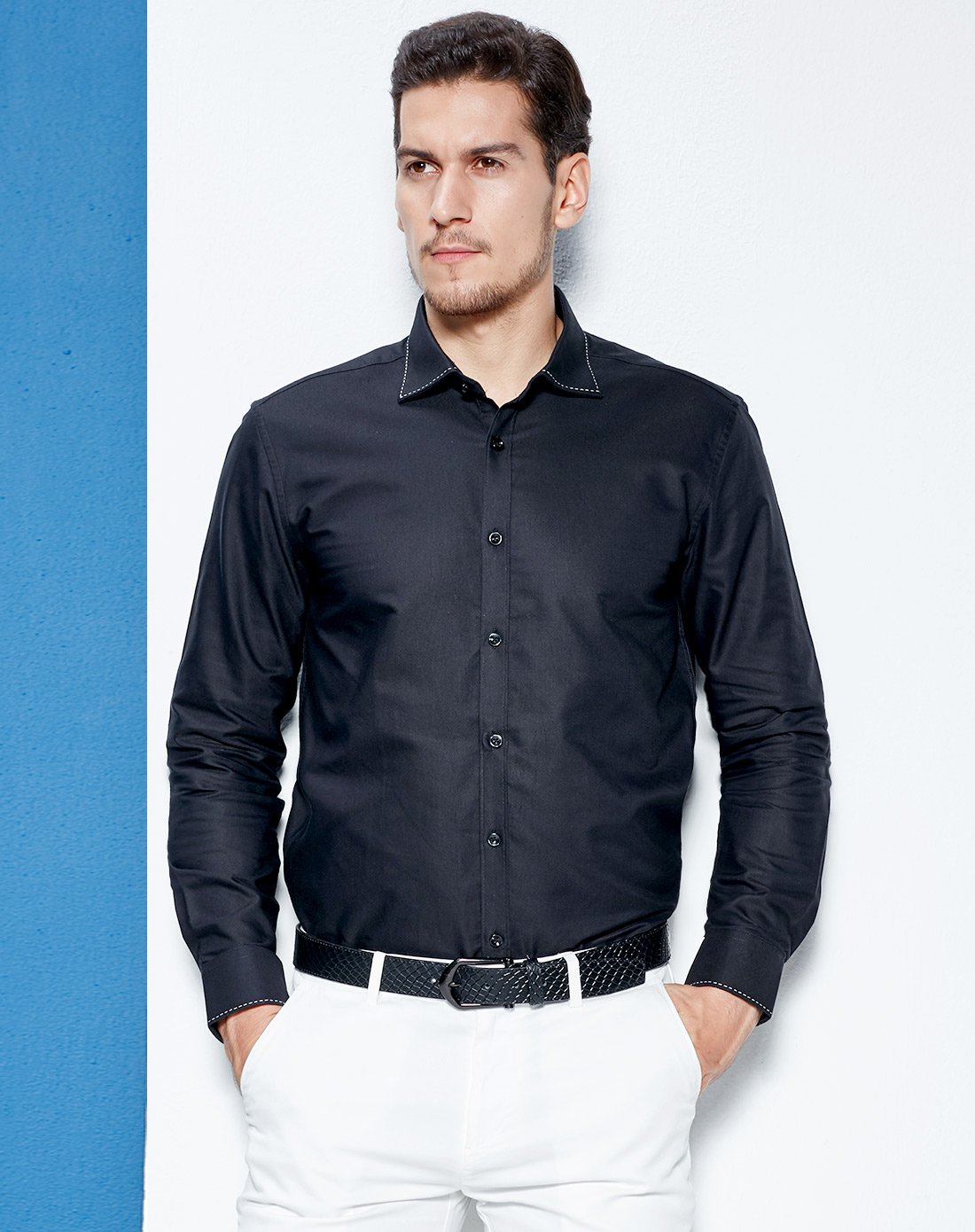 法派春秋男装商务正装长袖衬衫修身男士棉质衬衣上衣