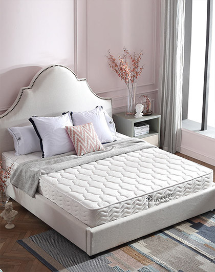 【12.8周年庆】alice爱丽丝1.2米/1.5米/1.