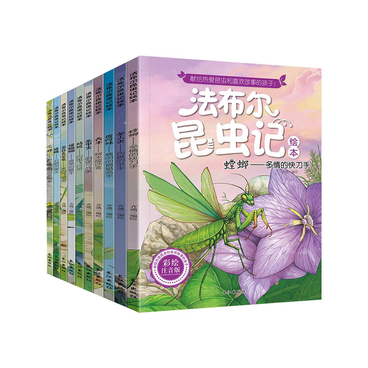 6-12岁 法布尔昆虫记绘本(全10册)