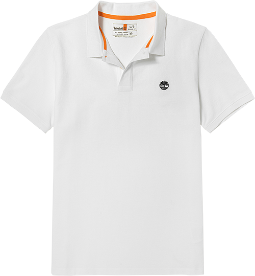 ᰹ٷװPOLO|A62T5150Ԫ