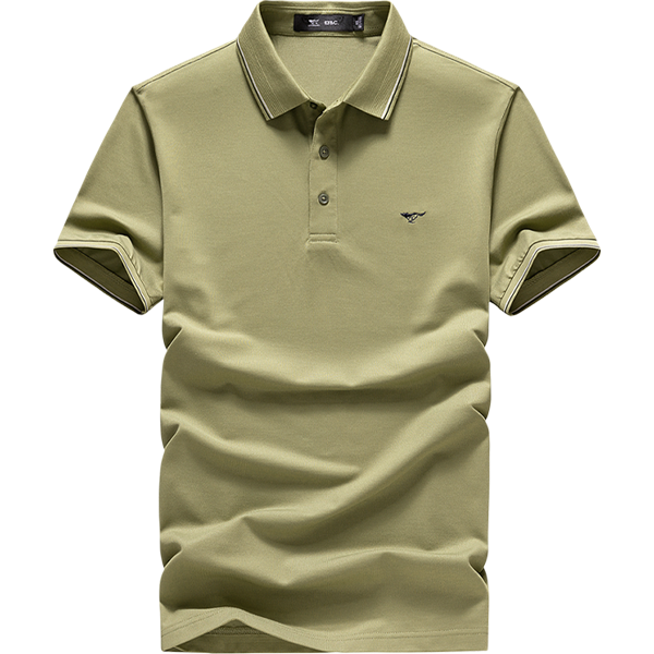 ɣ˿ ļٴpolo113Ԫ