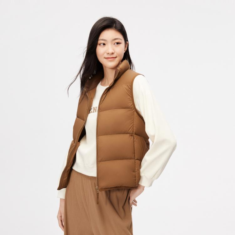 Bosideng 2023新款男式经典轻薄保暖百搭短款立领羽绒服 In Brown