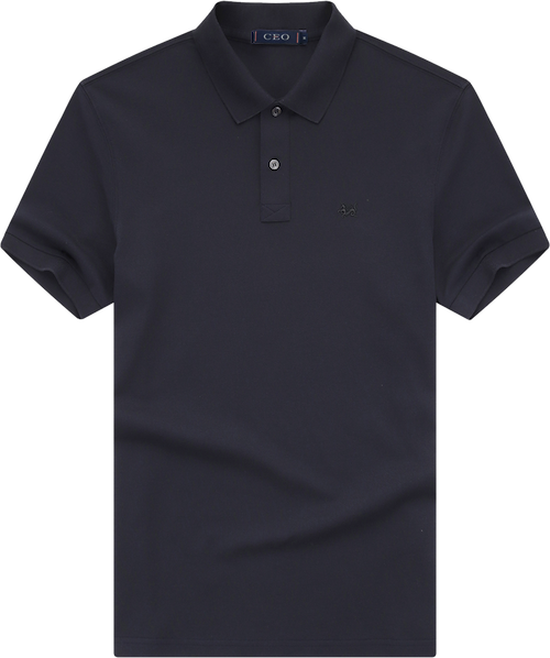 &ˬ͸ļCEOʿpolo145Ԫ