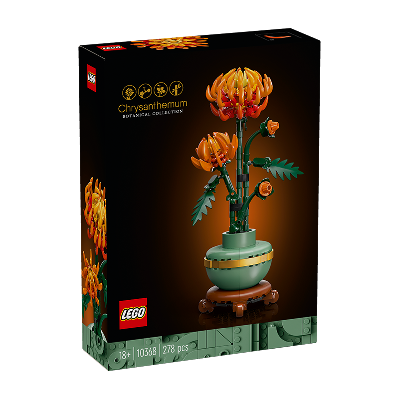 ��ľ��ֲ10369����÷/�ƽ��/������/������18������