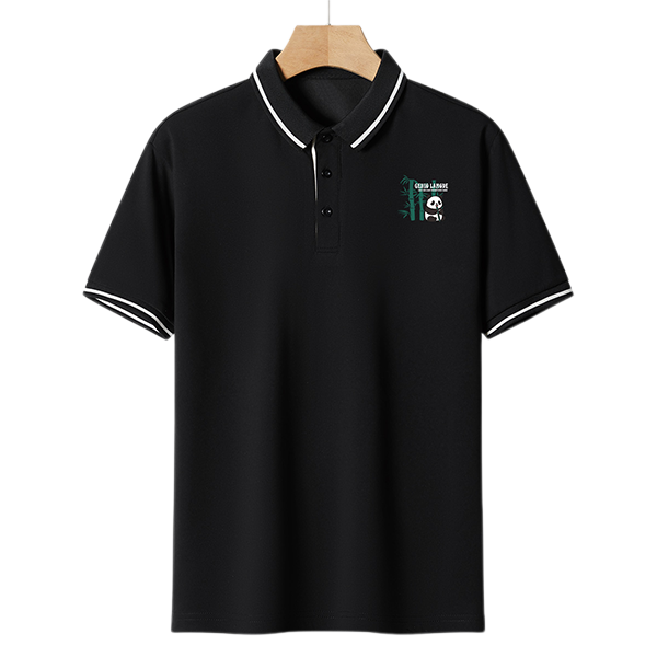 ʿ˶poloļtٴװʽPolo39Ԫ