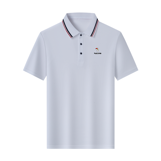 ˬ͸мԼļʿTٴͨPolo38Ԫ