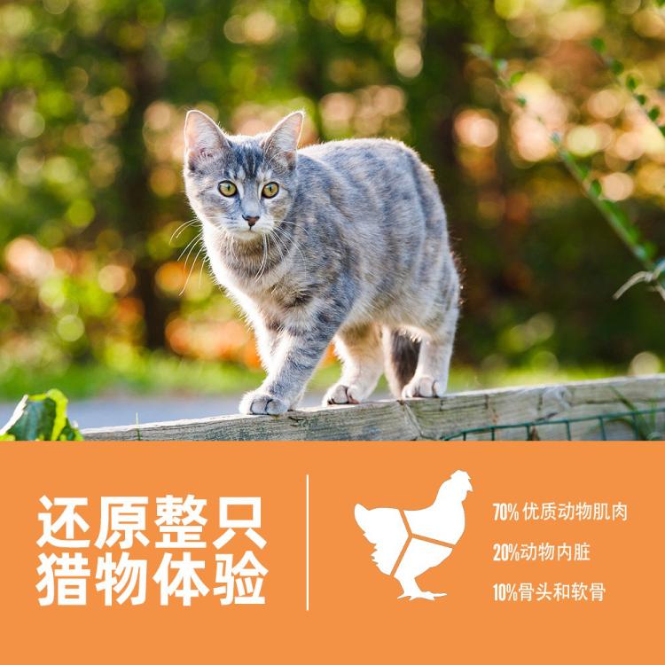 商品缩略图 7