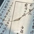 诺米美物 925纯银碎银项链女百搭蛇骨链轻奢高级感锁骨链可刻字生日礼物 图片 4