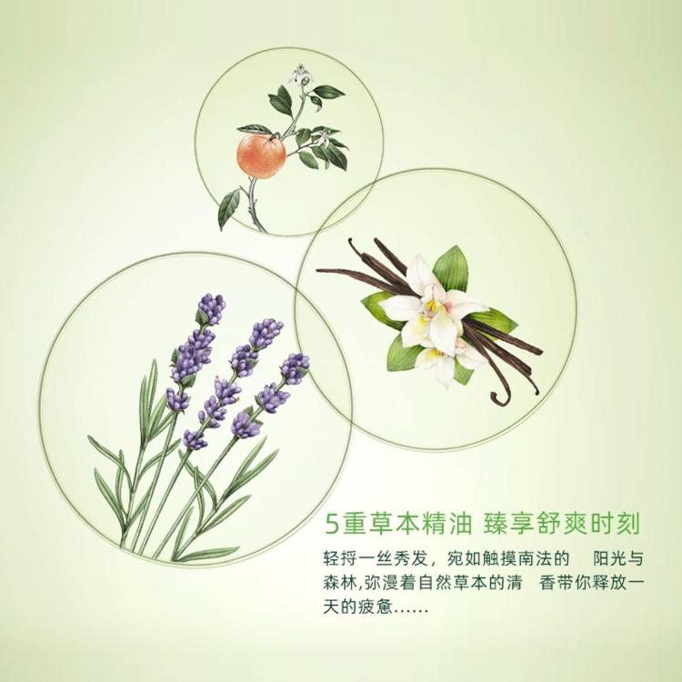 L'OCCITANE 欧舒丹草本洗发水礼盒 焕发瓶双支装500ml*2