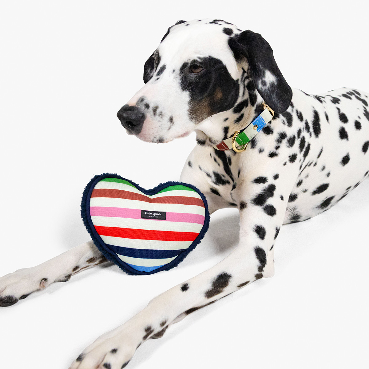 kate spade 中秋节送礼品牌自营PET时尚轻奢冒险条纹心形宠物玩具