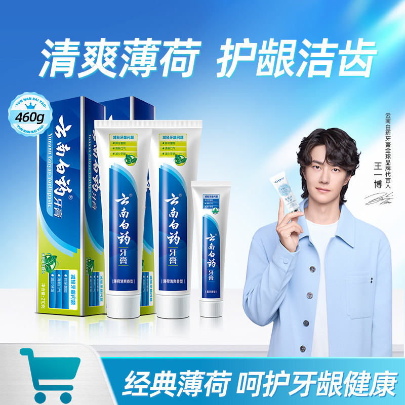 云南白药 【清爽护口】云南白药牙膏清新薄荷香成人牙膏大容量210g*2