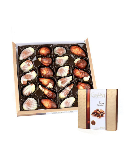 比利时吉利莲金贝壳巧克力礼盒250g