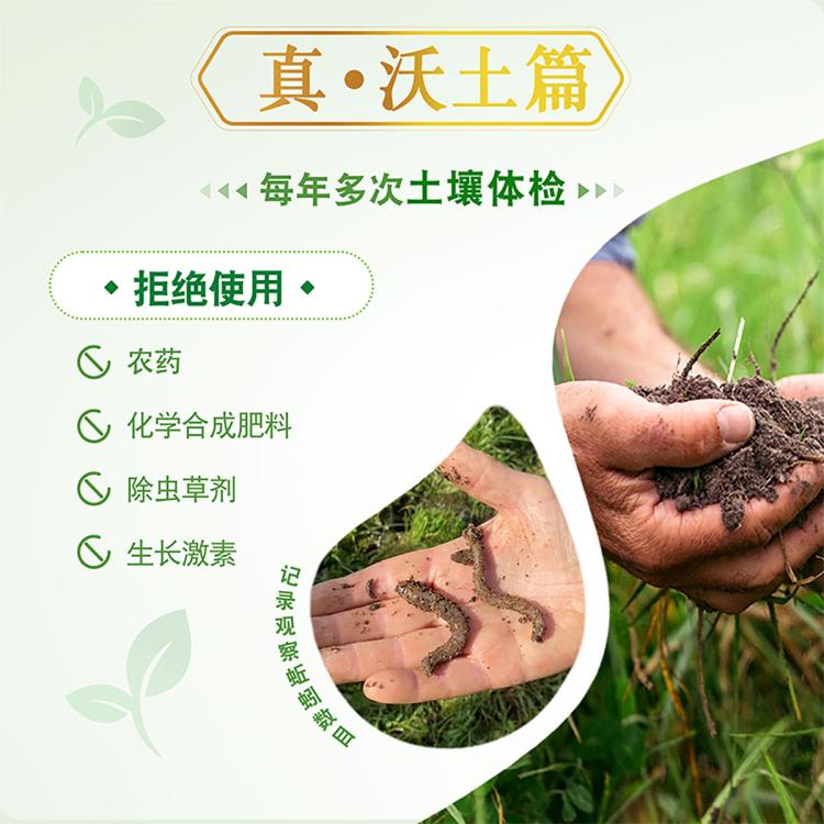 安佳 【2箱装】有机4.4g高蛋白全脂纯牛奶学生奶礼盒装节日送礼