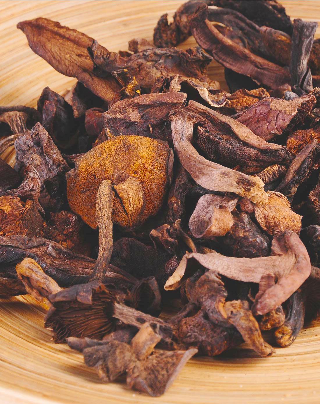 藏乡田园 黑牛肝菌 100g