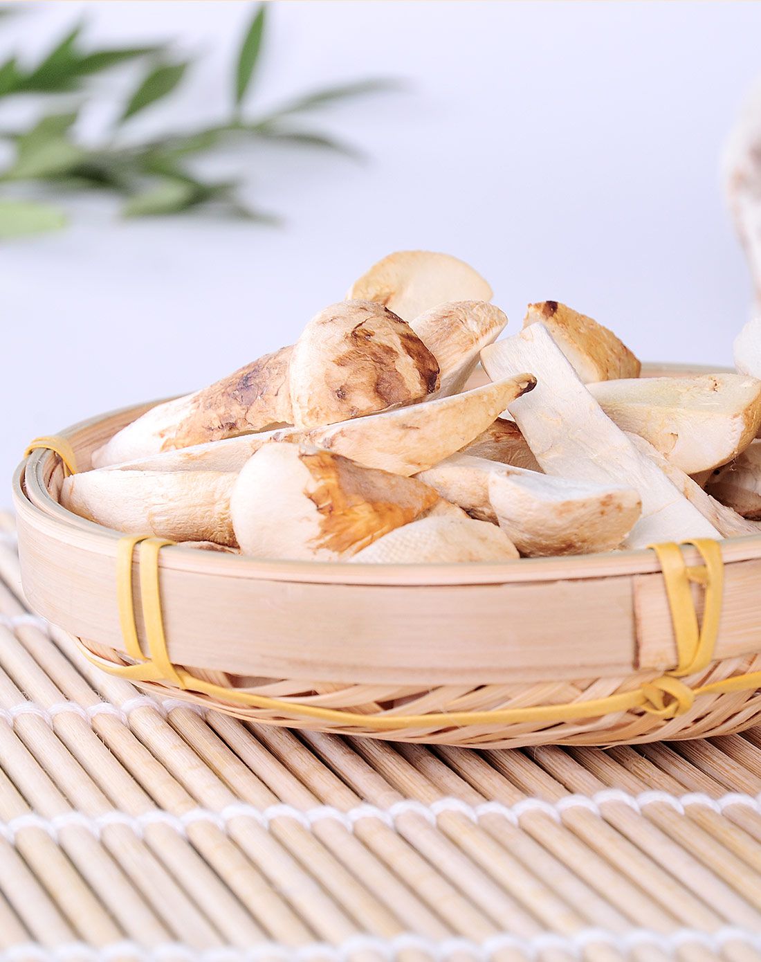 冻干松茸双盒礼盒 60g