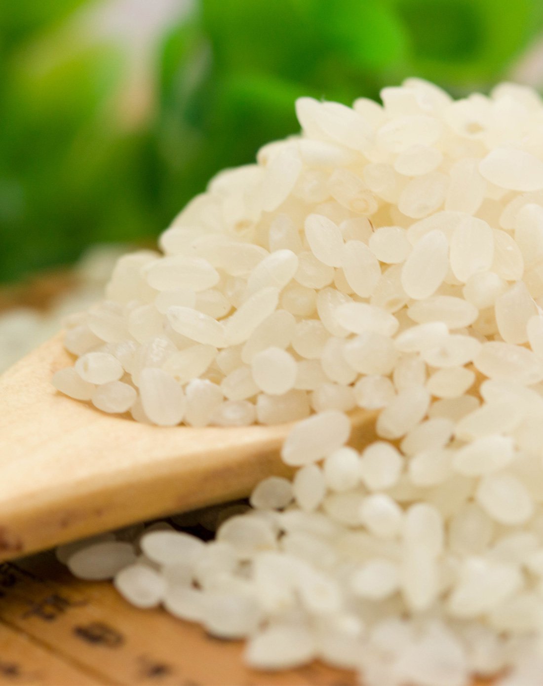 宁夏尚品珍珠大米2500g