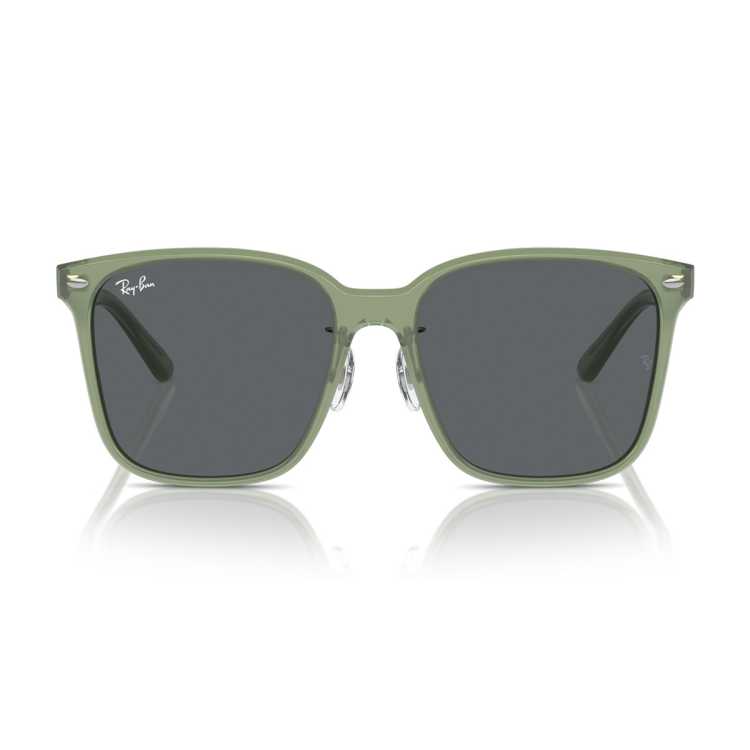 RayBan ������̫����ī��0RB2206D