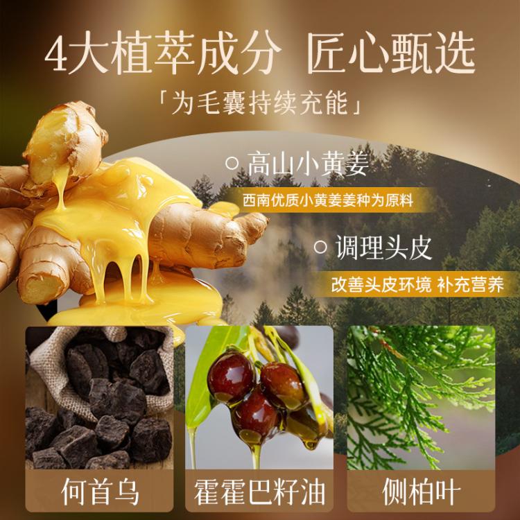 ZOOLY 卓蓝雅男女防脱发固发控油蓬松生姜侧柏洗发水洗发露官方正品现货 图 3