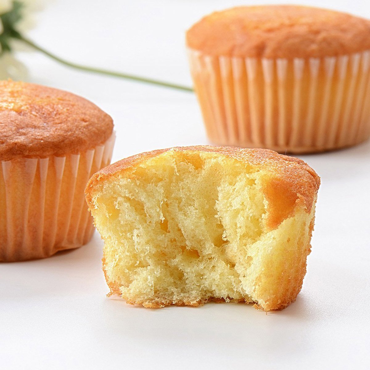 拔丝肉松蛋糕开窗礼盒整箱装720g