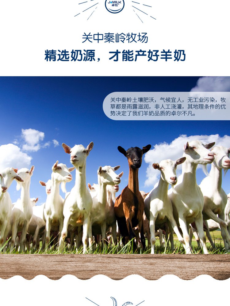 卓牧jomilk 口感清新纯羊奶200ml*10盒装