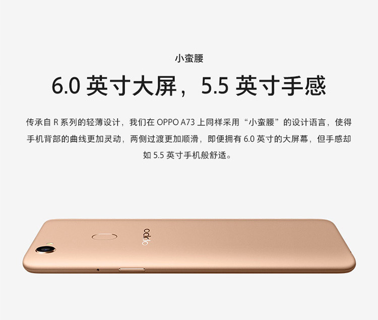 oppo a73 全网通 6.0英寸全面屏手机