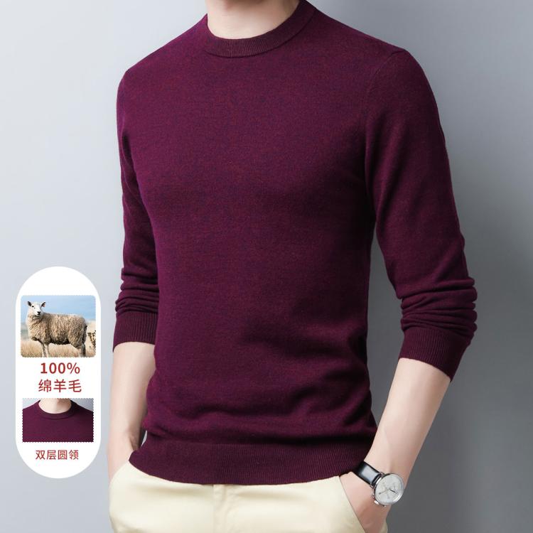 罗蒙 【口碑推荐】羊毛衫男100%羊毛半高领毛衣男半高领男士羊毛衫