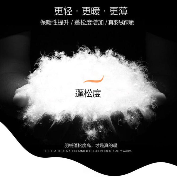 雪中飞 【云感户外】2025秋冬季新款轻薄羽绒服男短款立领运动外套男