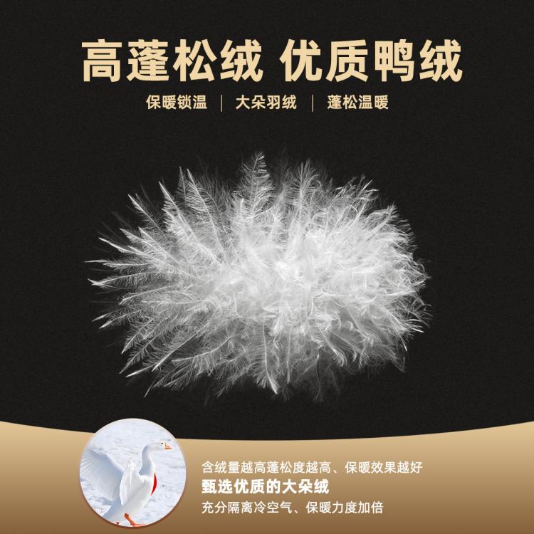 雪中飞 【重磅高充绒】2025加厚羽绒服男款短款立领面包服极寒加厚