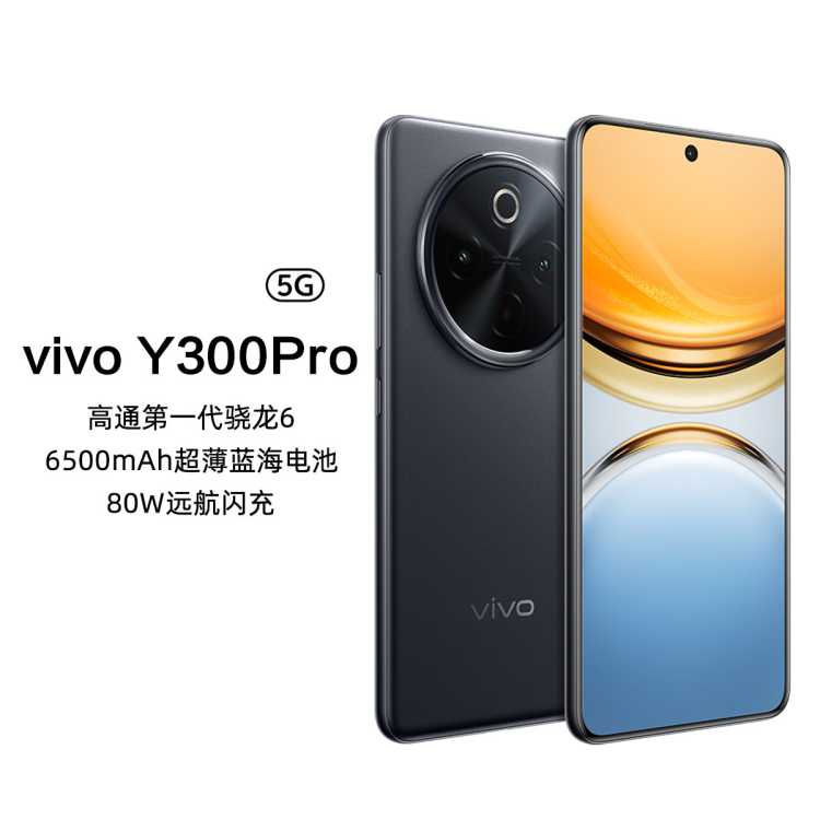 vivo Y300 Pro¿Сһ80WԶ5Gֻ
