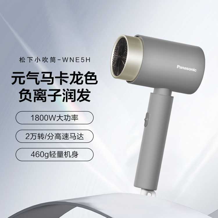 Panasonic 松下 EH-WNE5H 电吹风 （灰色)