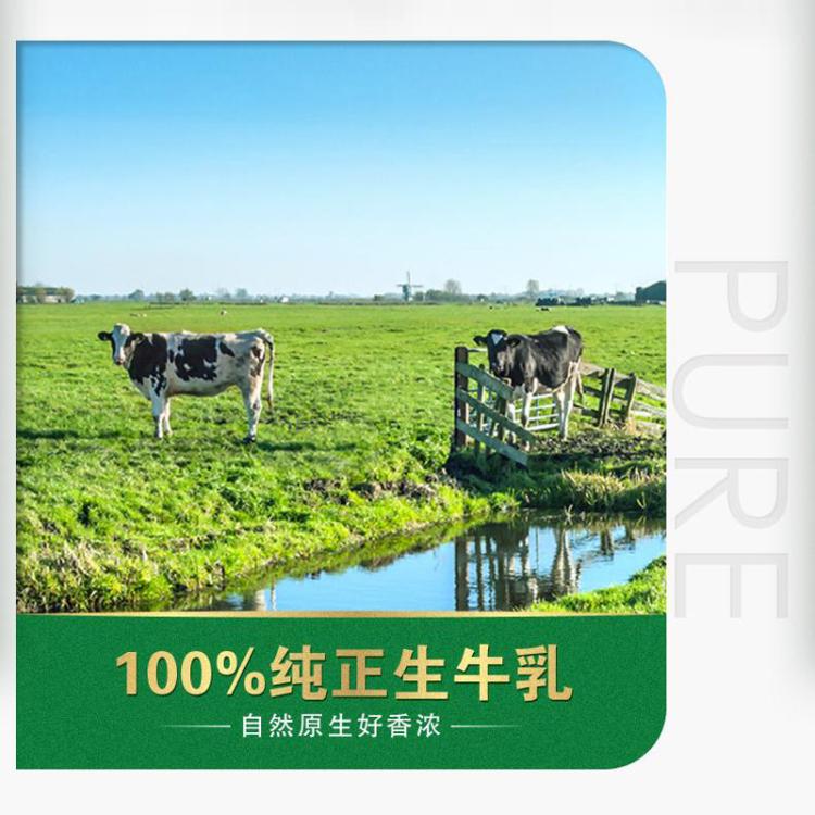 蒙牛 蒙牛纯牛奶全脂灭菌乳利乐包250mlx24盒